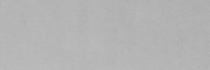 Stupid Post's banner
