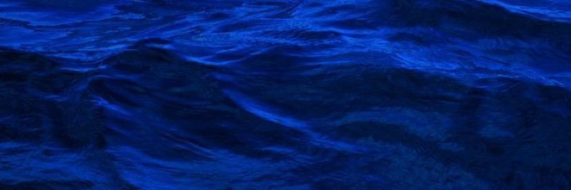 Pretty Blue banner