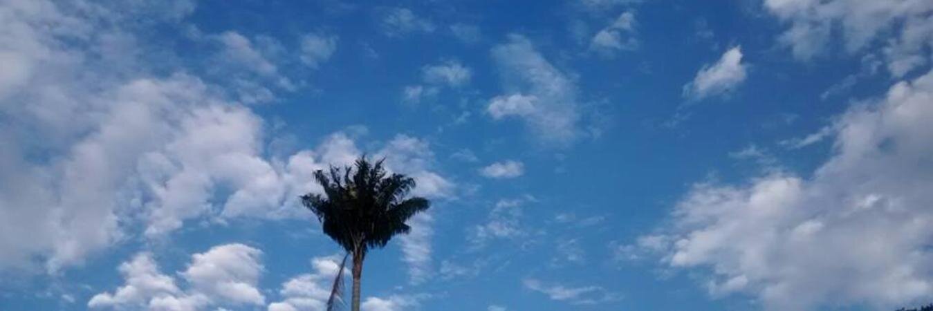 yeimmylee's profile banner image
