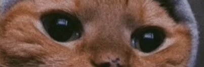 mocklol's profile banner image