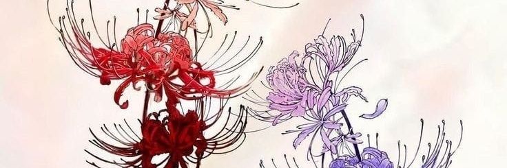 IseniaCtvs's profile banner image