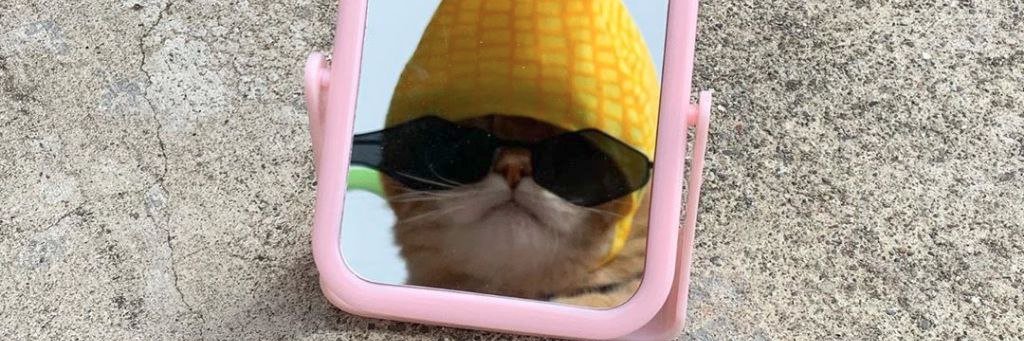 excel_developer's profile banner image