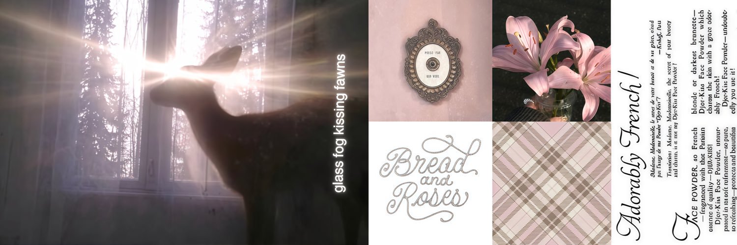Felinebliss's profile banner image