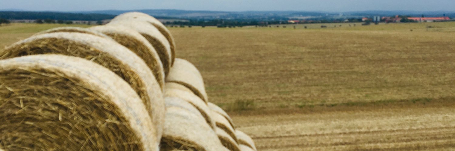 Tmsgoo's profile banner image