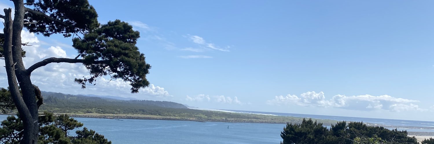 tryn2bprov31's profile banner image
