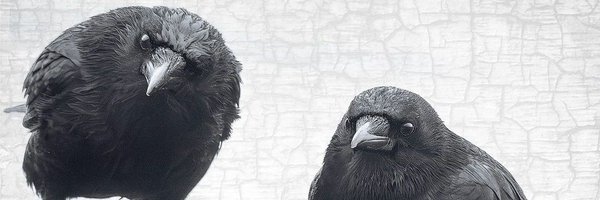NaberiusWizard Profile Banner