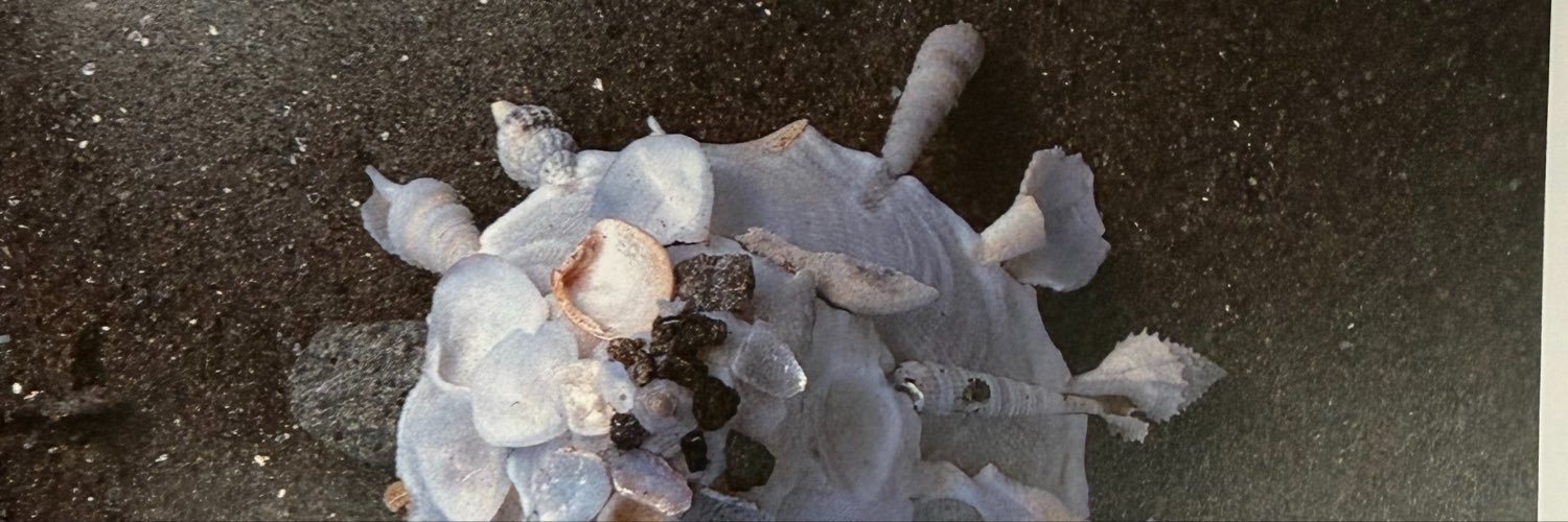 shoundedwadow's profile banner image