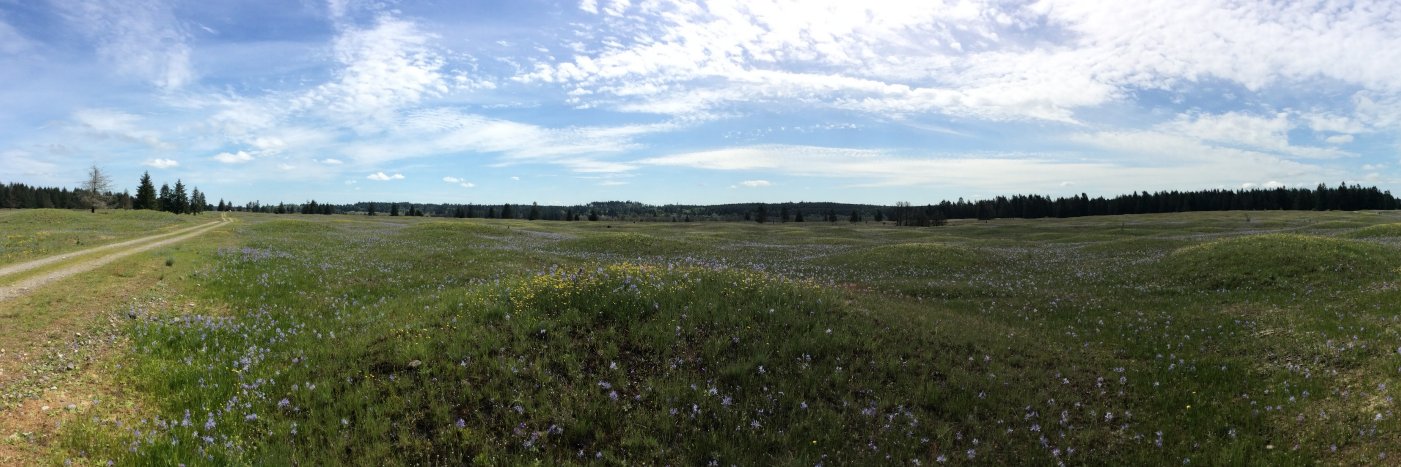 Dr. Sara L. Gonzalez banner
