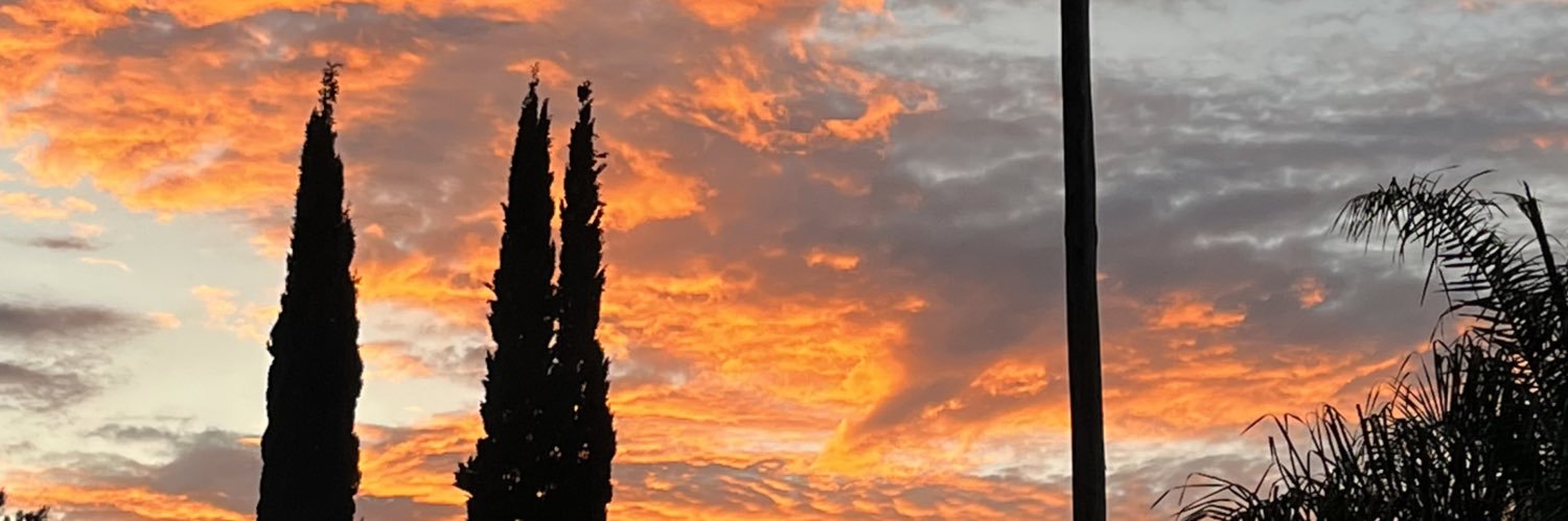ccasalegnovalee's profile banner image