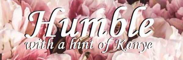 stephntripp Profile Banner