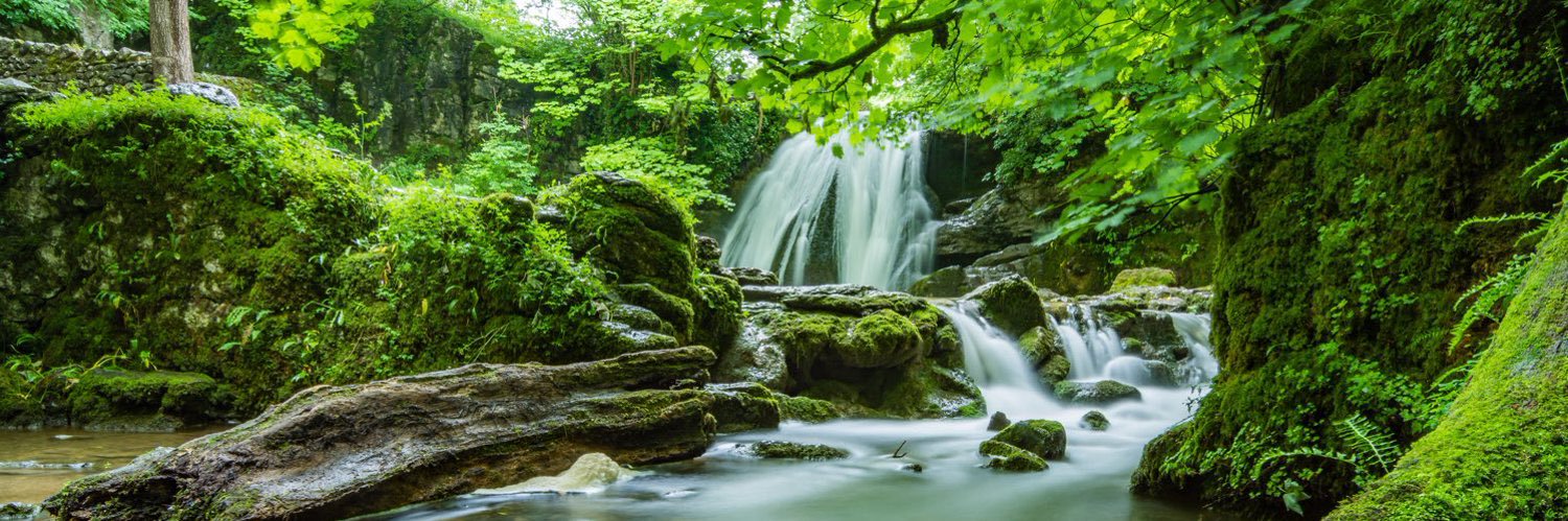 Nature Recordist 🎧 banner