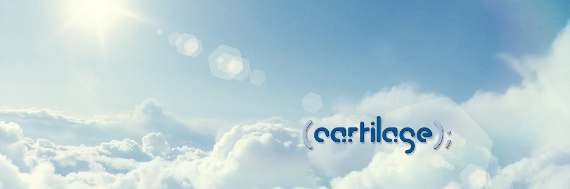 CartilageInc's profile banner image