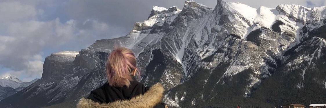 Michelle Rempel Garner's banner