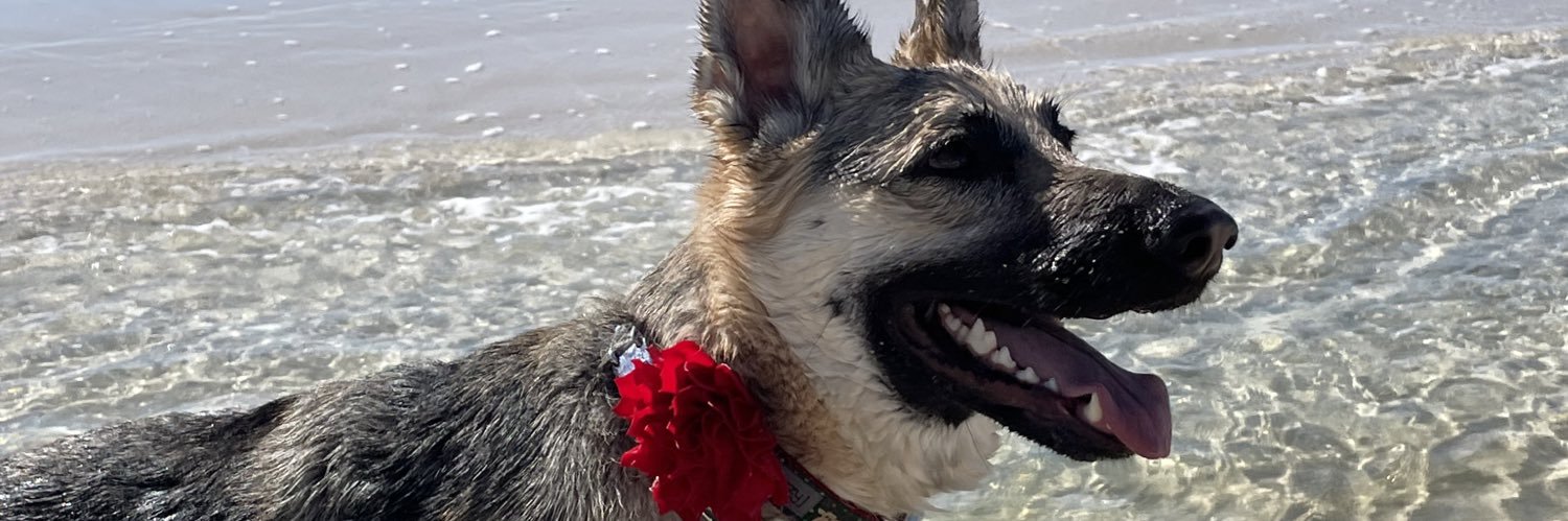 Hunter Soleymani banner