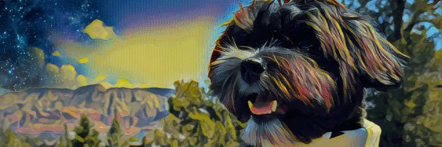 Crypto Coton banner
