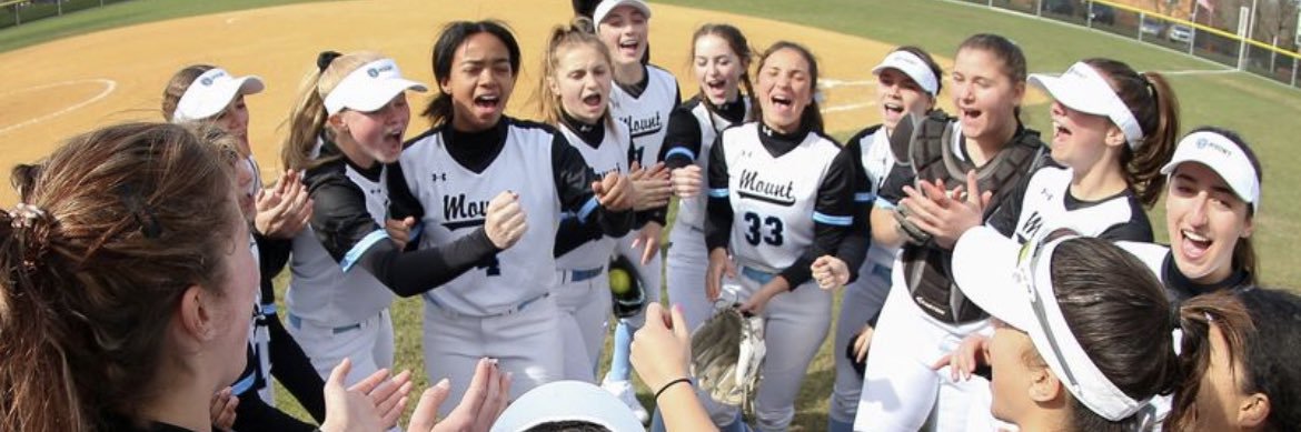 MSDA Softball banner