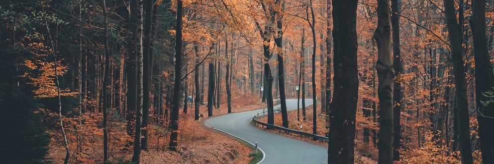 Viable ☀️☀️ banner