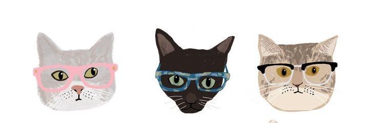clarandrade_'s profile banner image