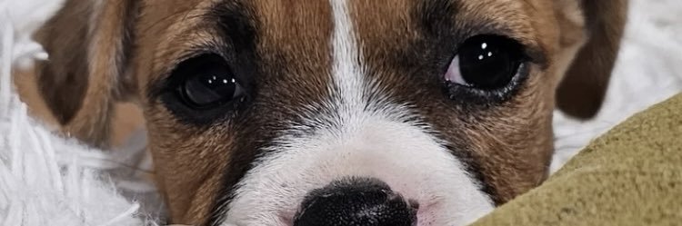 Jennniifer's profile banner image