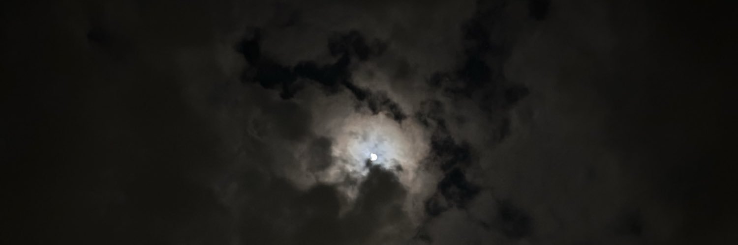 brvvly's profile banner image
