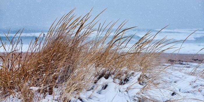 CentervilleYoga's profile banner image