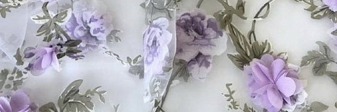 みむ banner