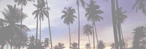 jessyp46's profile banner image