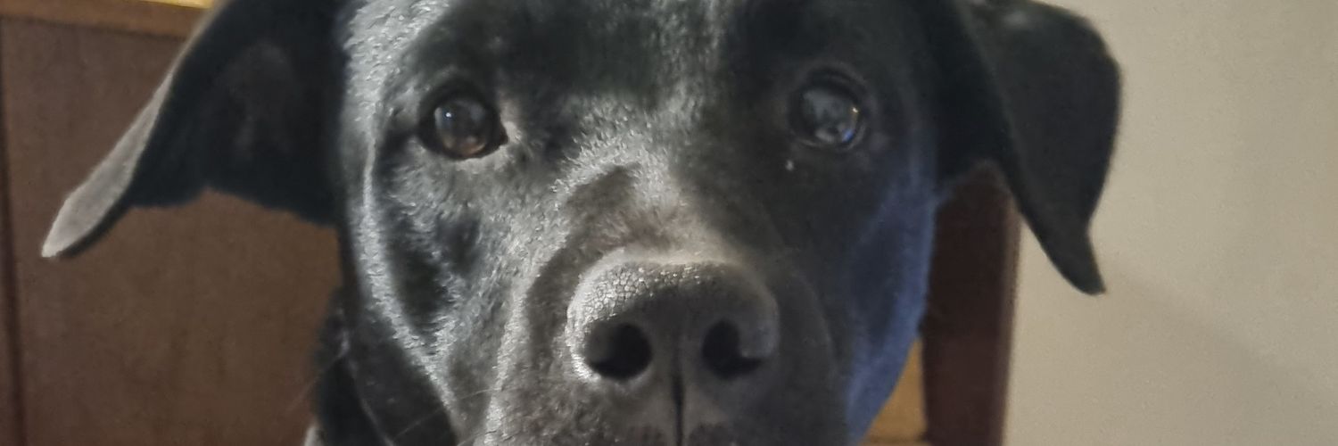 emeediaz's profile banner image