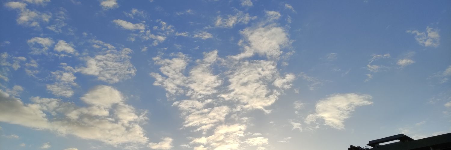 22squirrels's profile banner image