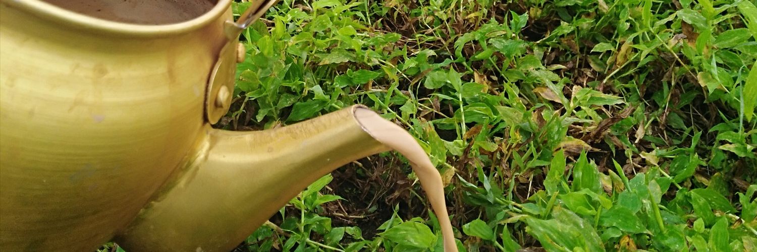 newuser846's profile banner image