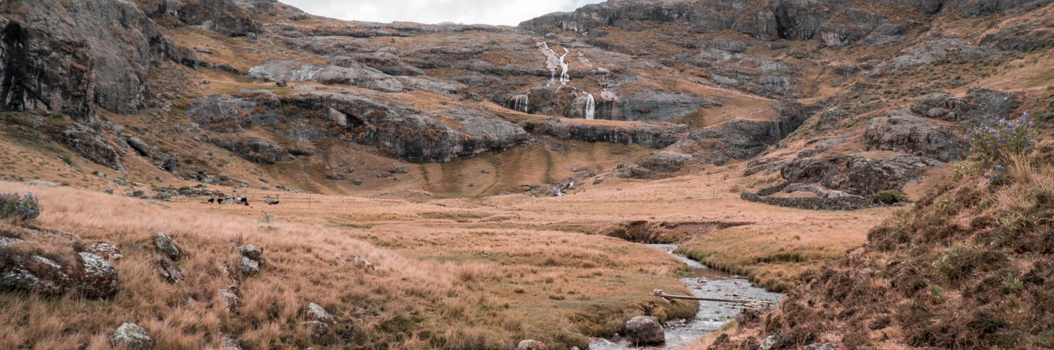 Alejandro Chai banner