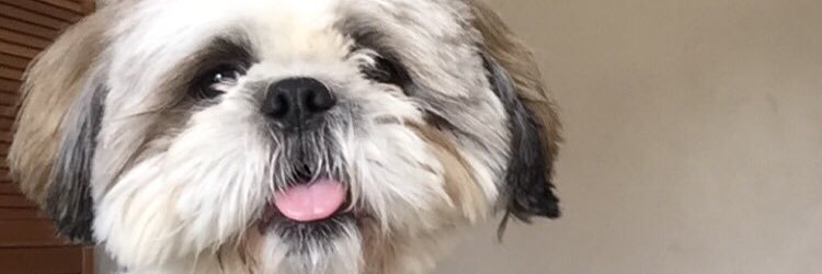 Jodymthomas's profile banner image
