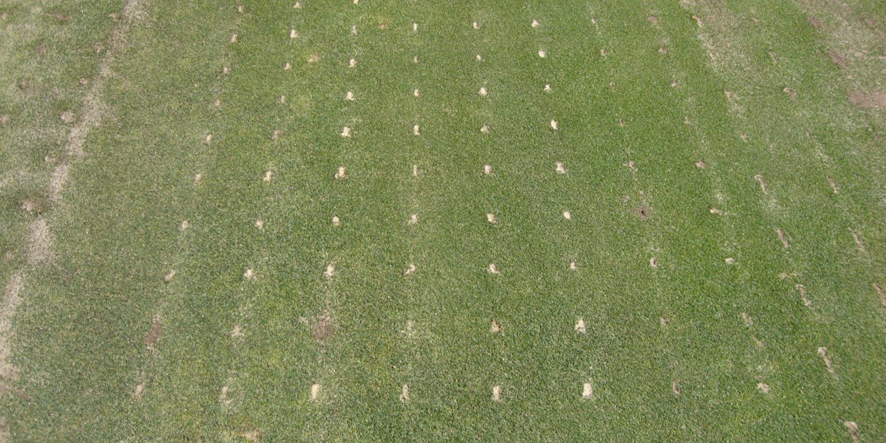 Dennis Granahan banner