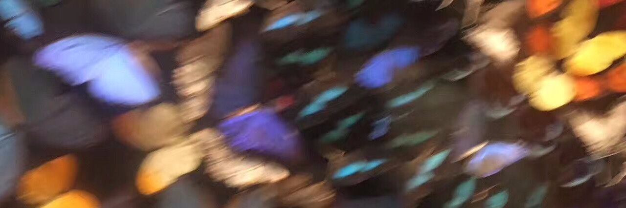 oxidationG's profile banner image