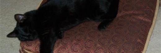 marysocontrary's profile banner image
