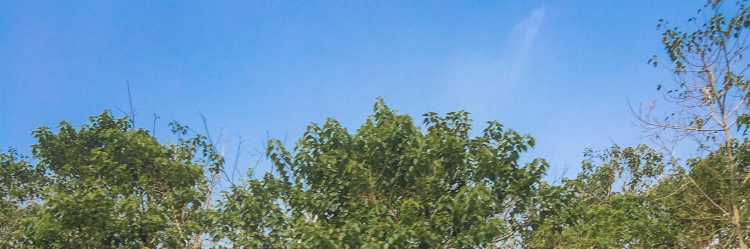 diaryofuli's profile banner image