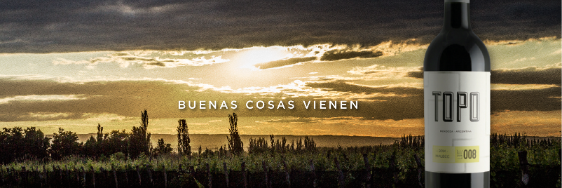 Topo Wines banner