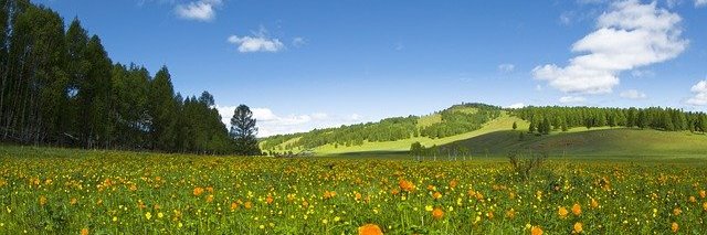 botann_'s profile banner image