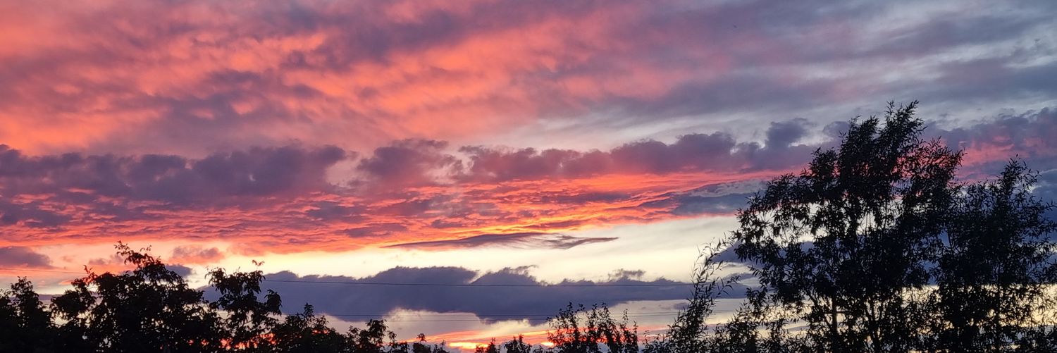 Costel Aguridă banner