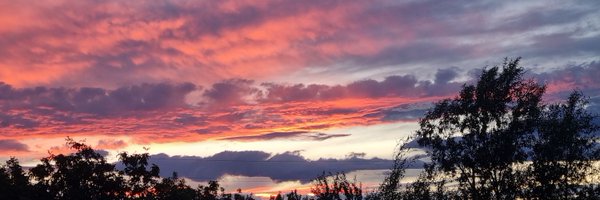 Agurida1 Profile Banner