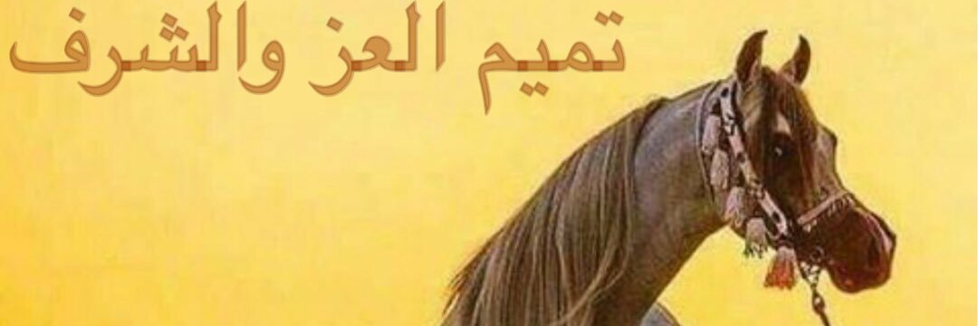 2Aborayan's profile banner image