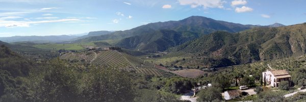 jakemcc Profile Banner