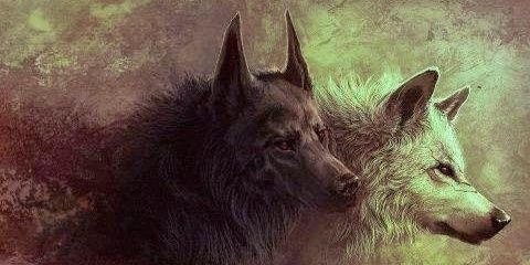 Randres30's profile banner image