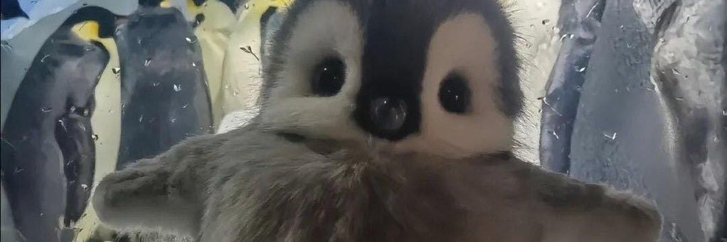 suiyuejiang's profile banner image