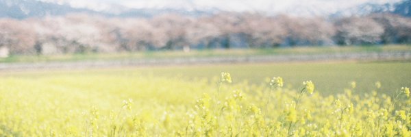 sui_3mg Profile Banner