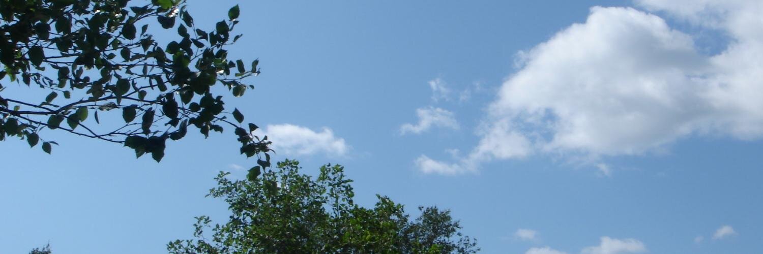 gracemb's profile banner image