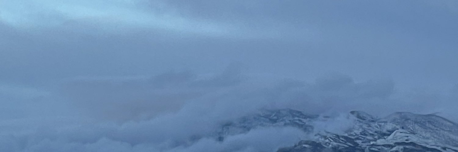 Lasius's profile banner image