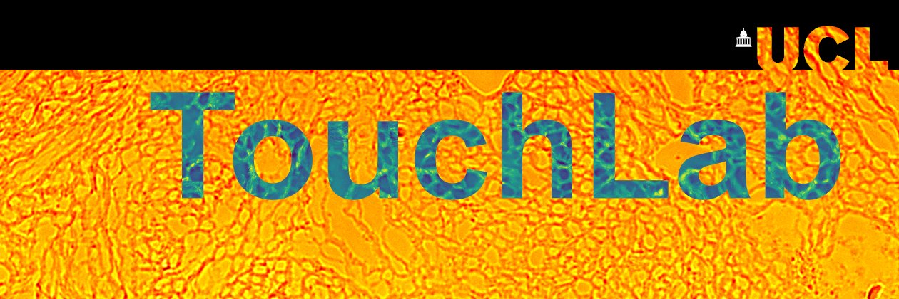 TouchLab_UCL banner