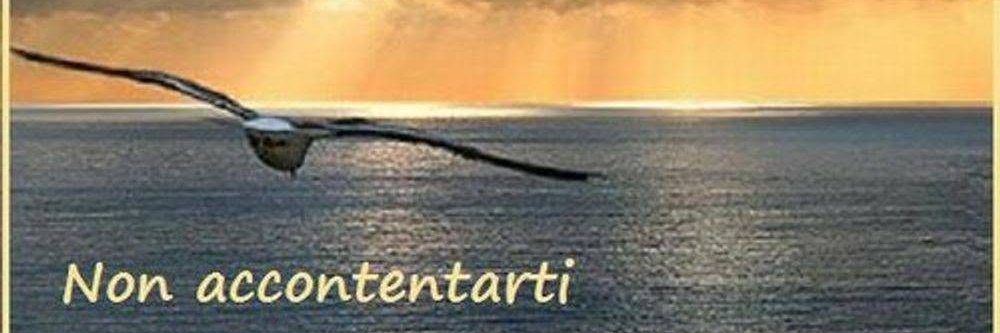 LucaStrafile's profile banner image