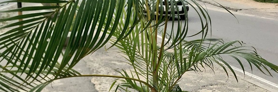 psideke's profile banner image